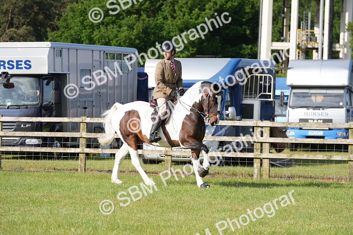 SBM_10522 - Class 97-98 - LIHS BSHA Rising Star Working Show Horse Hunter