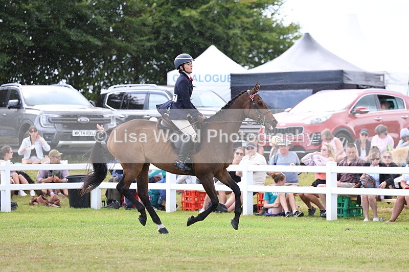 3E7A2342 - Class 11: Retraining of Racehorse