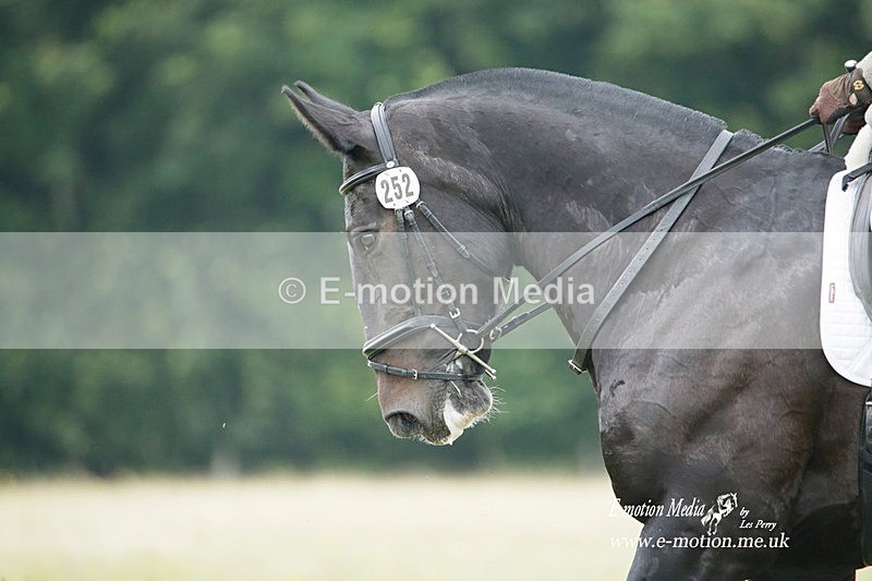 BVRC 030721 31 - Bourne Valley Riding Club Dressage 03/07/21