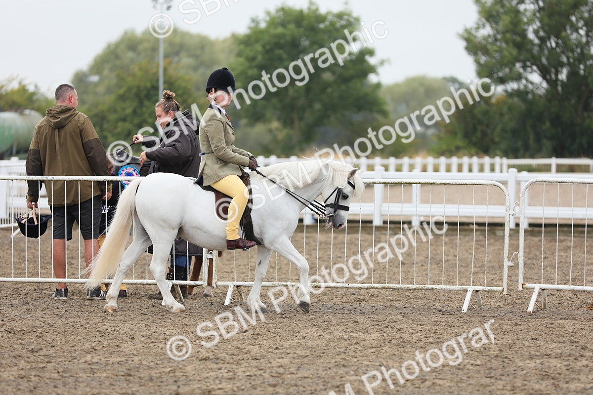 SBM_22277 - Class 807 - Young Rider 11 to 16 Yrs