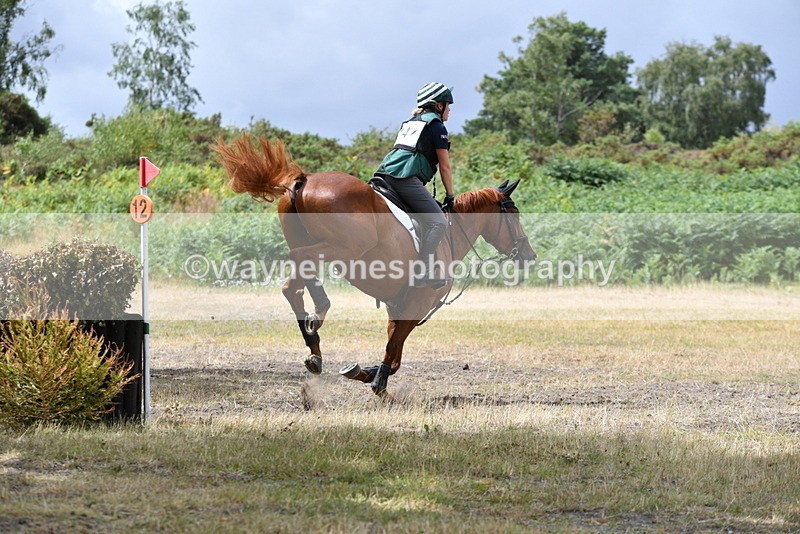 WJ5_1795 - XC Time 12:05 to 12:55