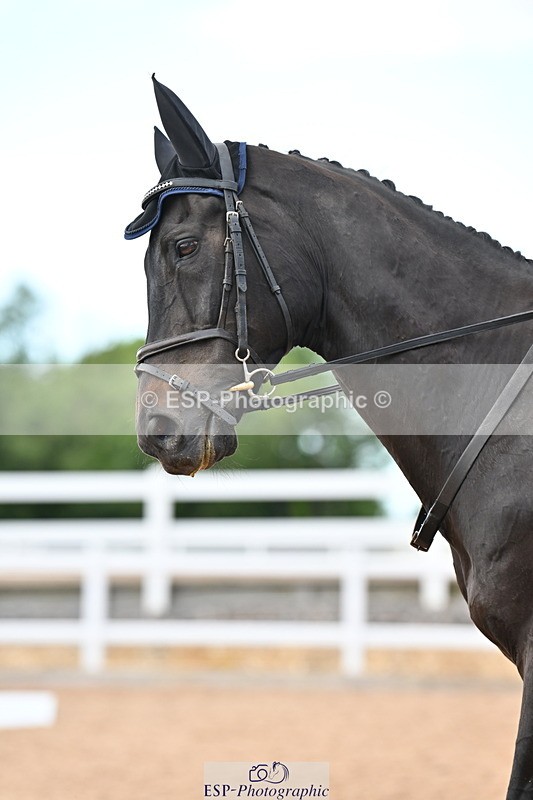 240622A-182039-15544 - Cls 7B+C Elementary 44 RoR