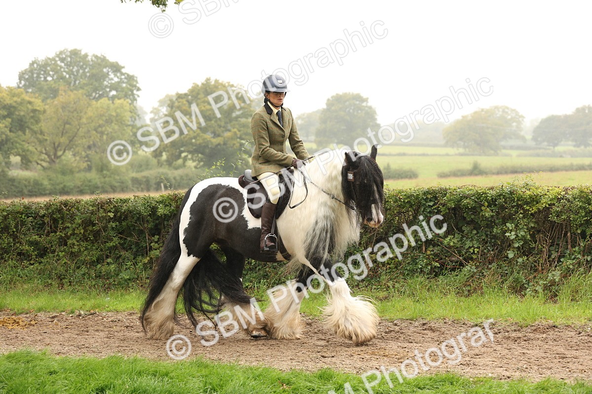 SBM_72693 - S70 - Traditional Cob Ridden