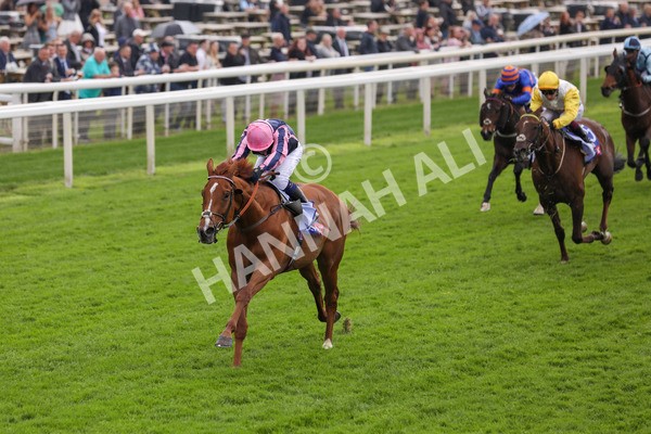 150524-Race 1-Crystal Delight-1436 - Race 1 2.15pm Sky Bet Race To The Ebor Jorvik Handicap