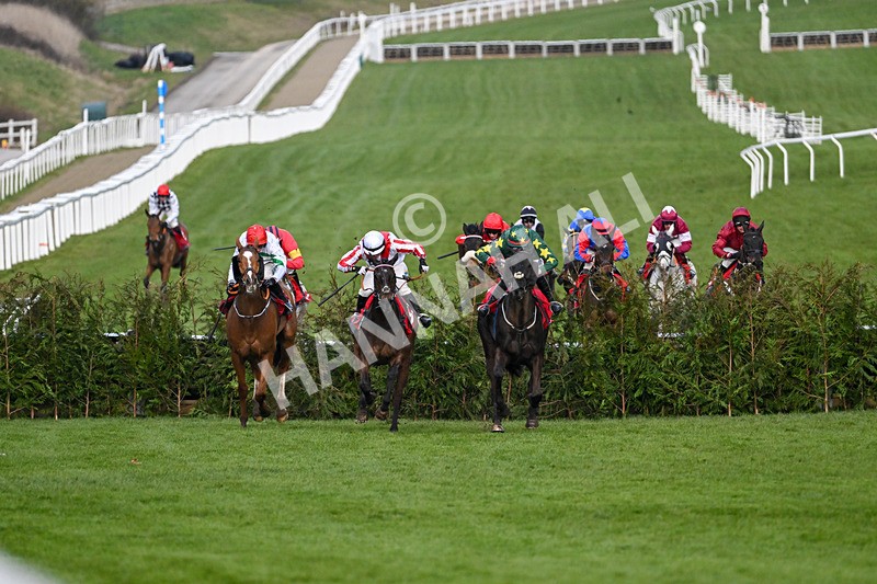 120325-Race 4-Stumptown-6962 - 12th March