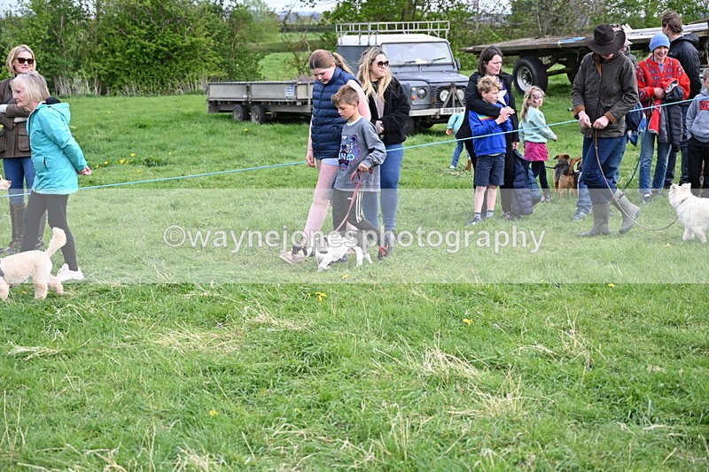 WJ6_8508 - Class 6 Best Rescue