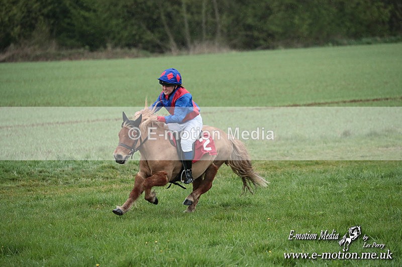 SHETPR 210425 102 - Shetland Ponies Paxford Races 21/04/25