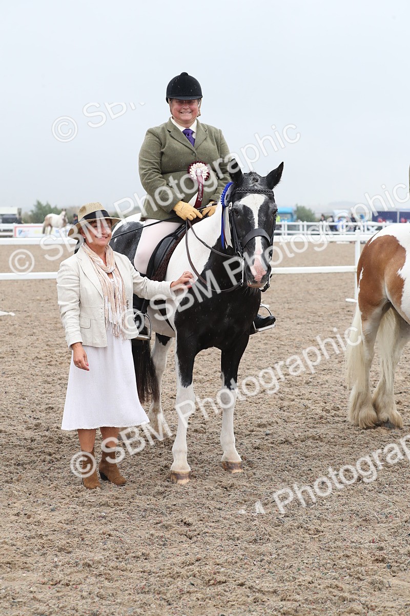 SBM_20509 - Class 601 - 2025 Area - Ridden Diamond