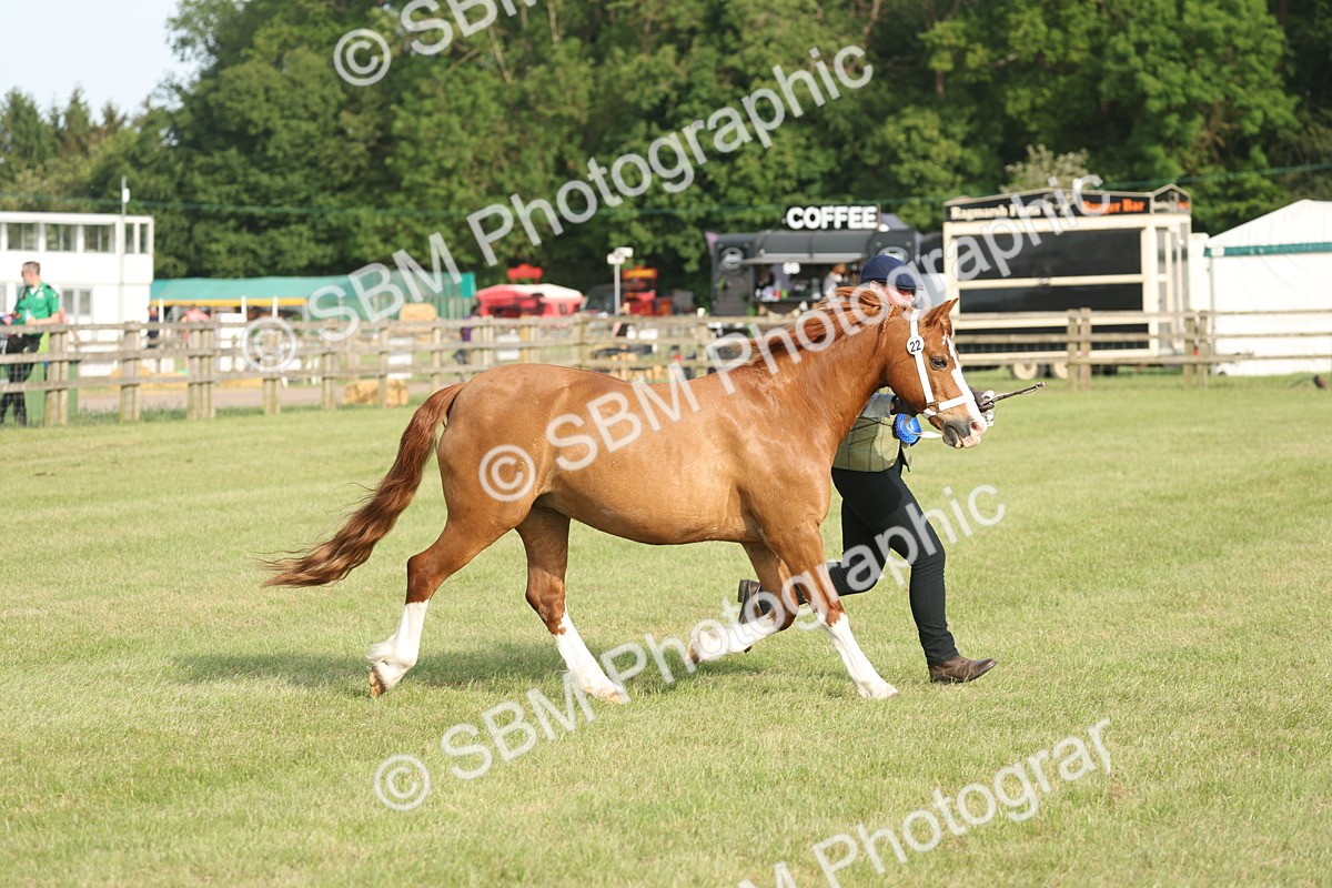 SBM_10581 - Class 33-38 - SSADL RIHS Qualifiers