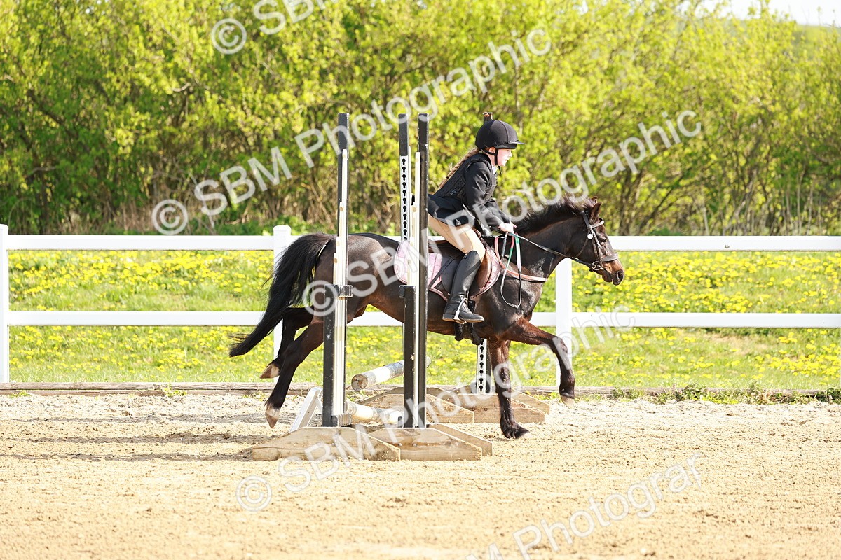 SBM_003210 - Class 2 - 50cm