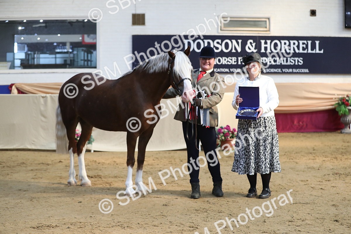 SBM_01400 - Class 3a Area IH Pre Vet
