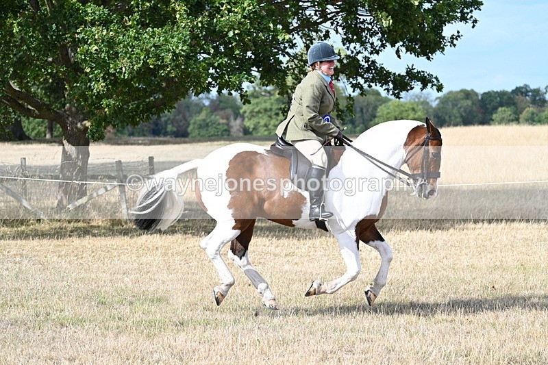 WJ7_7521 - Class 14 Ridden Coloured