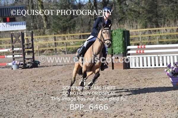 BPP_6466 - CLASS 10 SUN Newcomers/ 1m Open