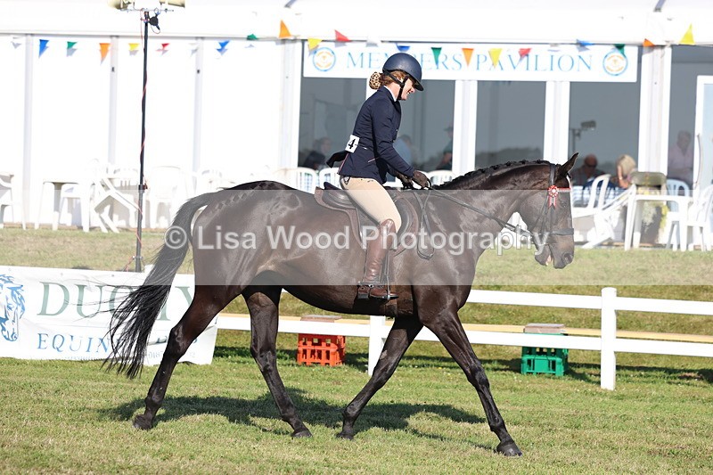 3E7A5264 - Class 2: Rising Star Large Hack/Riding Horse