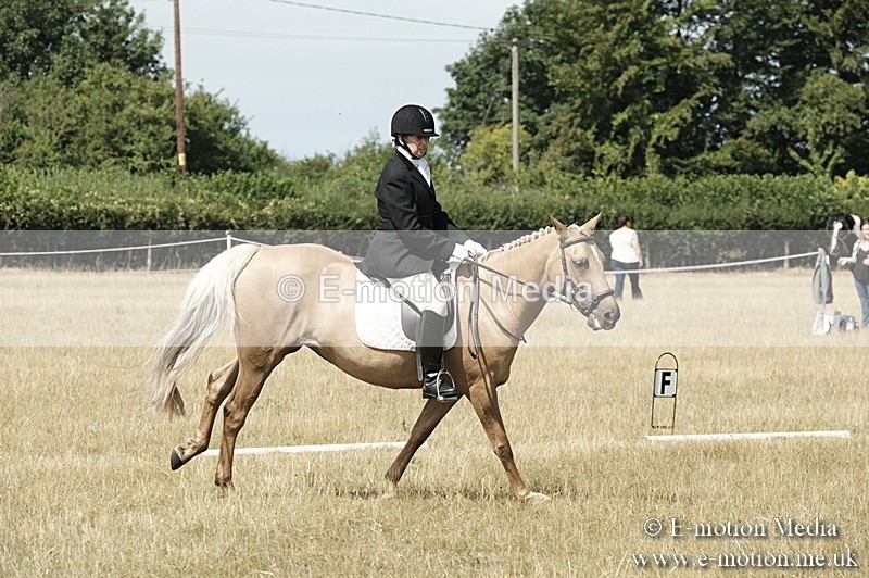 _PJP5809 - Dressage Classes BVRC Show 2018