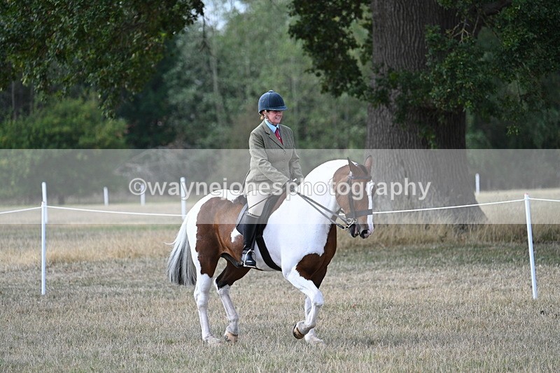 WJ7_6839 - Class 14 Ridden Coloured