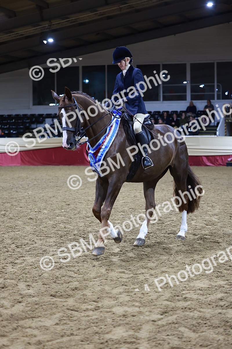 SBM_21594 - Class V - Champion of Champions