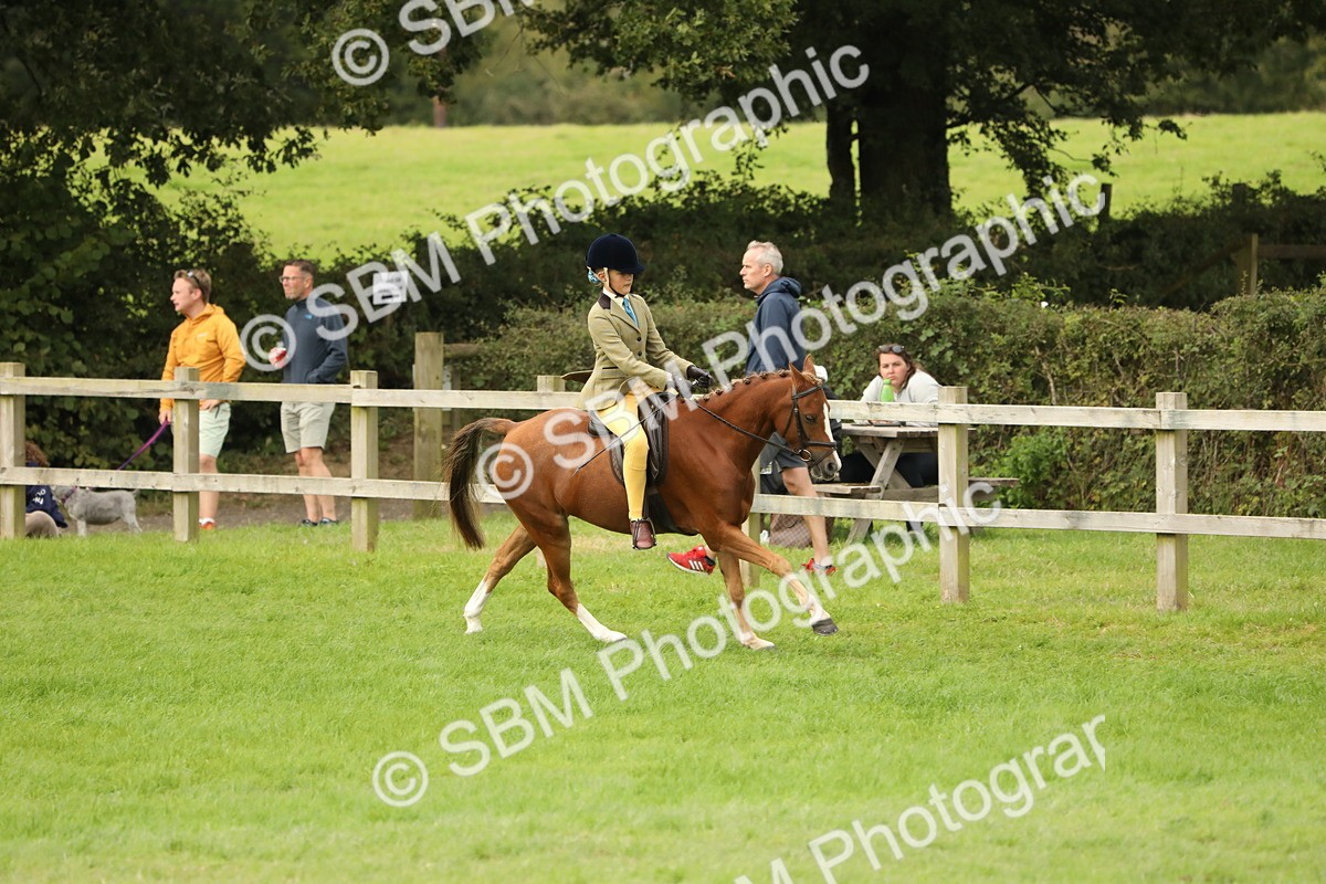 SBM_71645 - S41 - Ridden Equitation (Best Rider)
