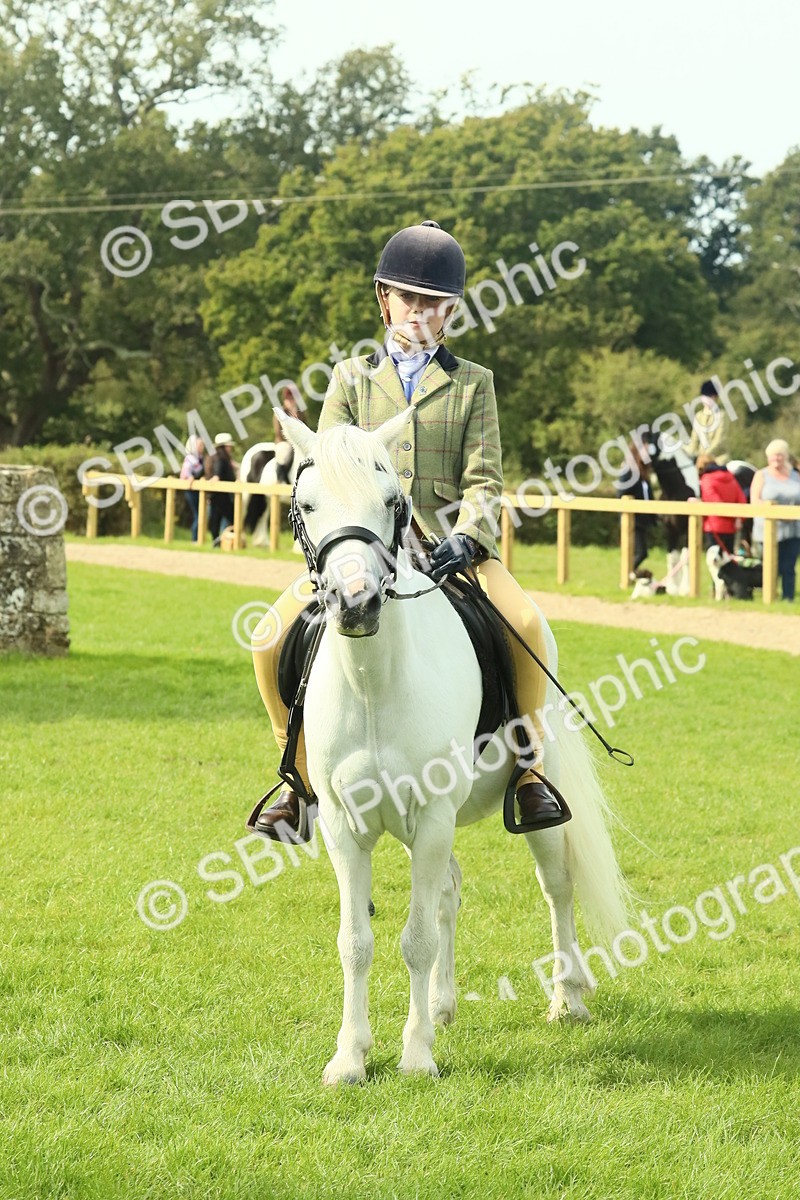 SBM_66803 - S34 - Rehabilitated Rescue Horse & Pony In Hand & Ridden