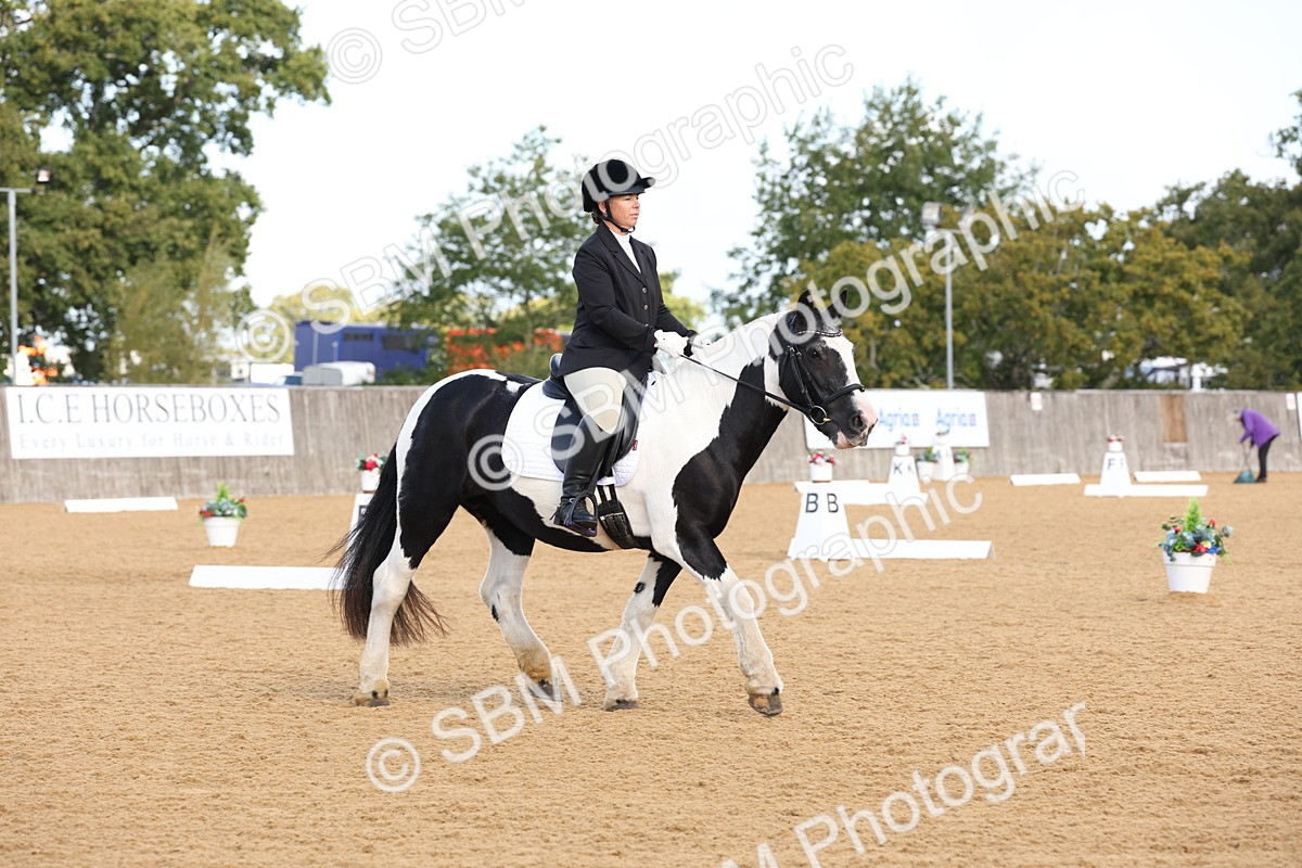 SBM_16200 - D10 - Small Tour Championship Prelim 2