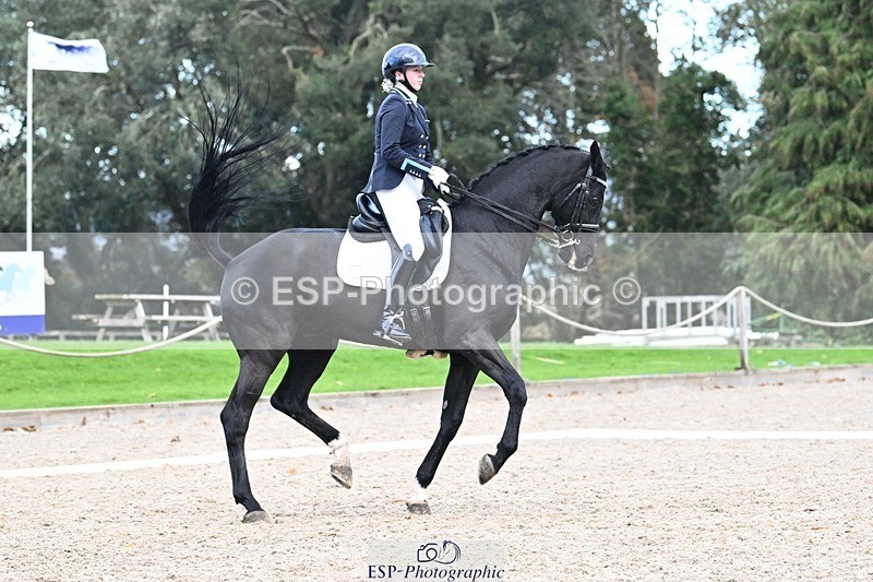 231110-144354-02017 - Cls 8 Medium 75Q