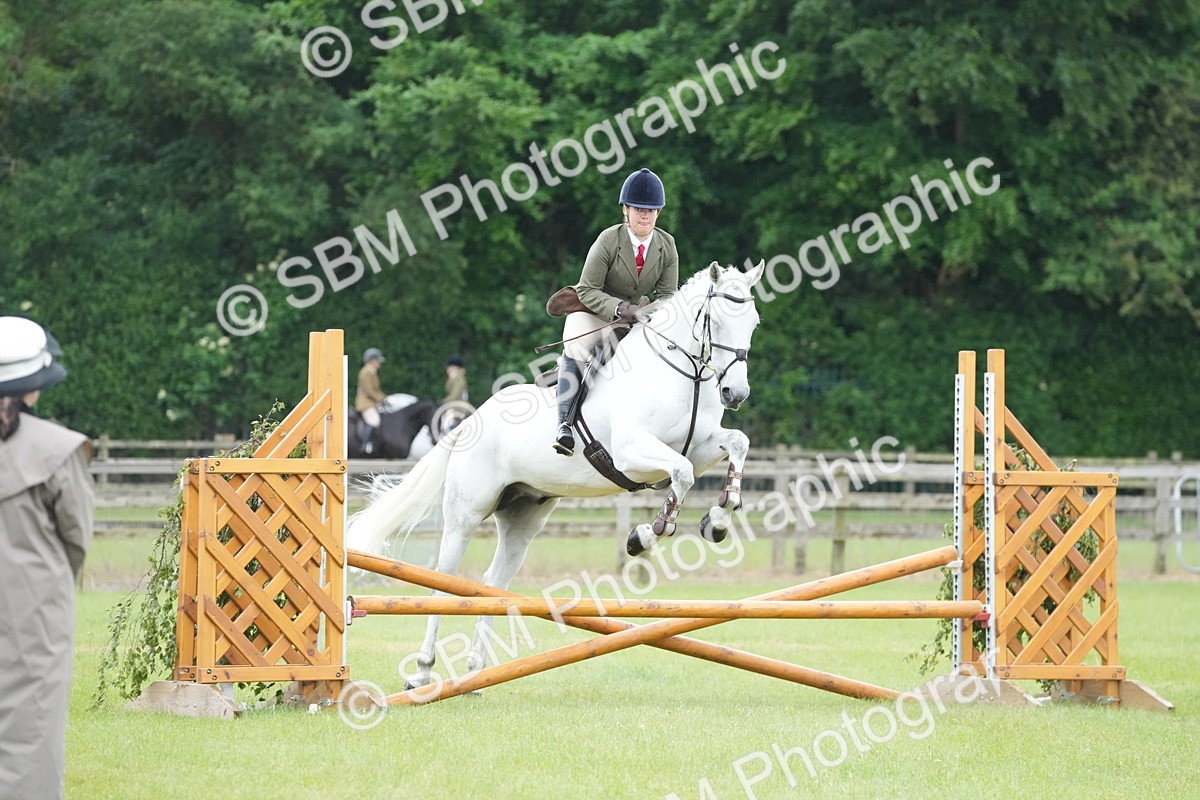 SBM_12586 - Class 97-98 - LIHS BSHA Rising Star Working Show Horse Hunter