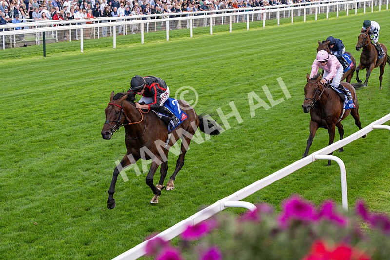 190826-Race 3-Maltese Cross-0344 - Race 3 15.00pm Sky Bet Great Voltigeur Stakes