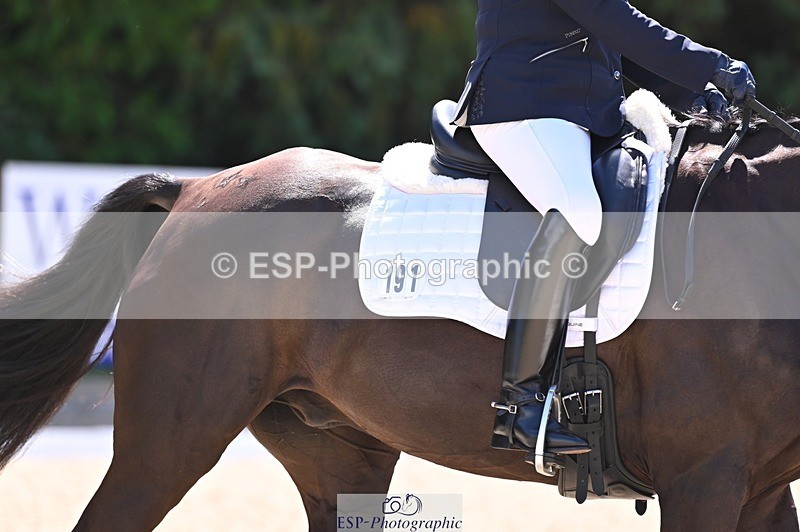 240809-114203-00557 - 191-Carole.Malyon-Diamonds.are.Forever