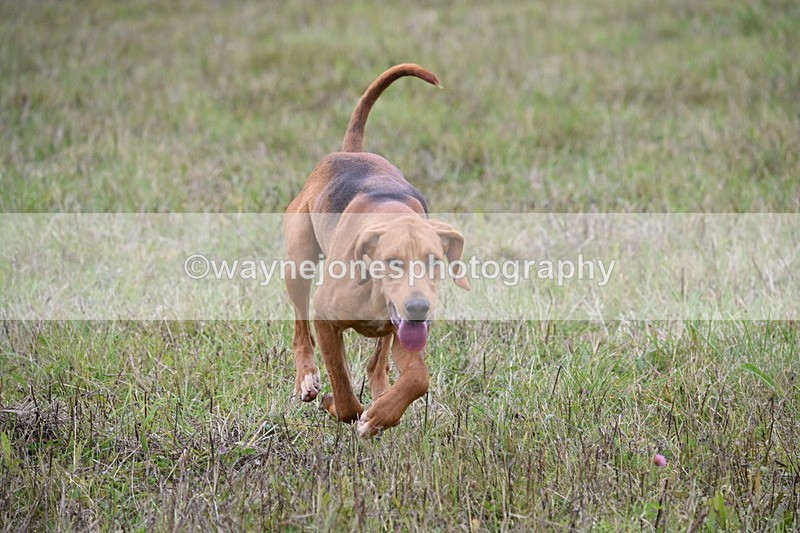 WJ6_0882 - Camera 2 Line 2