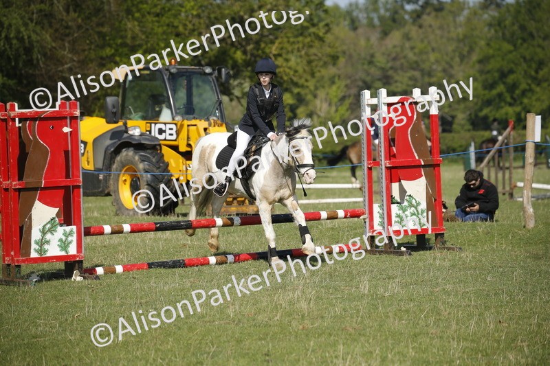 20250427-0381 - Class 12 - Rookie Jumping 40cm
