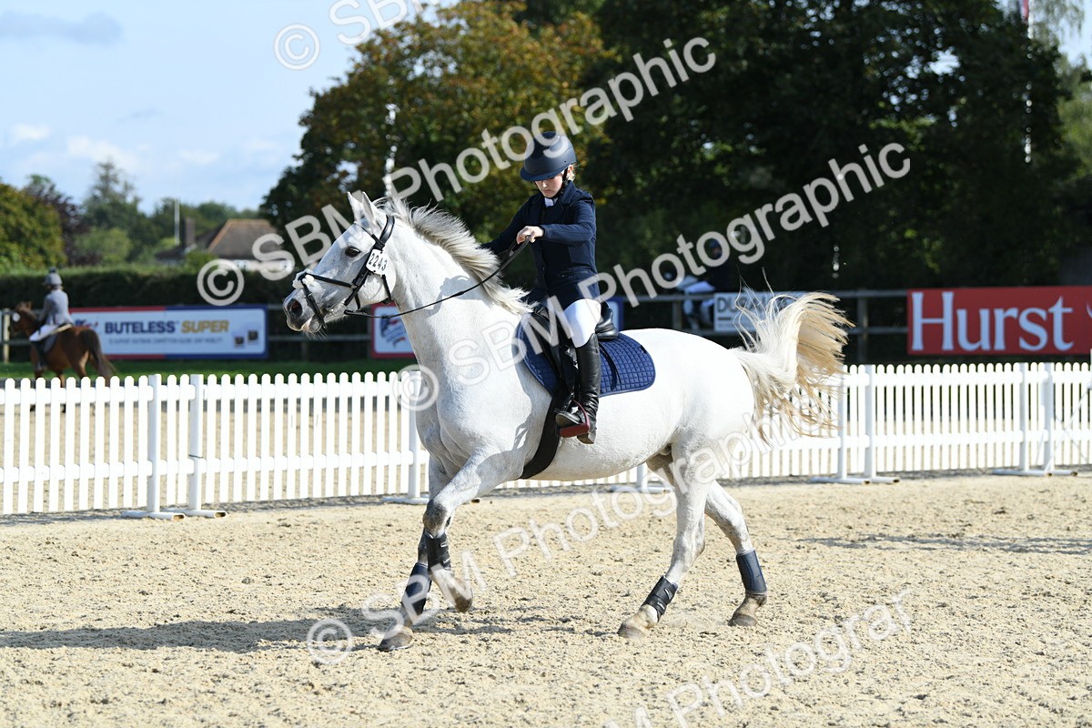 SBM_61638 - j25 - Junior Horse 80cm Championship
