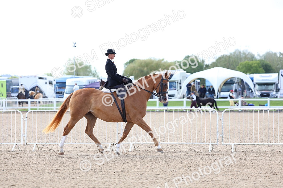 SBM_11189 - Class 306 - Ridden Foreign Breeds - Part Bred