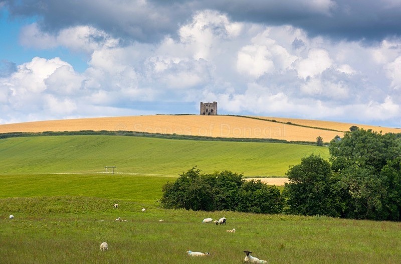 DSC_0094 - South Inishowen