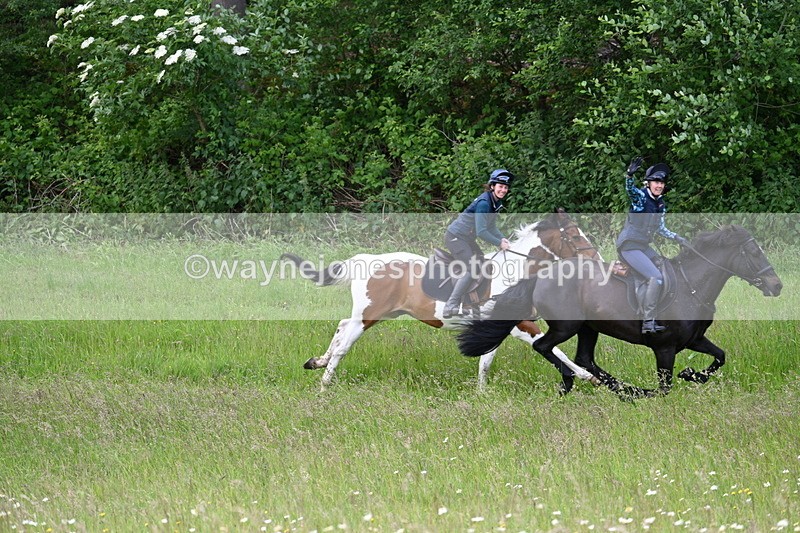 WJ7_8534 - Group 1 10am