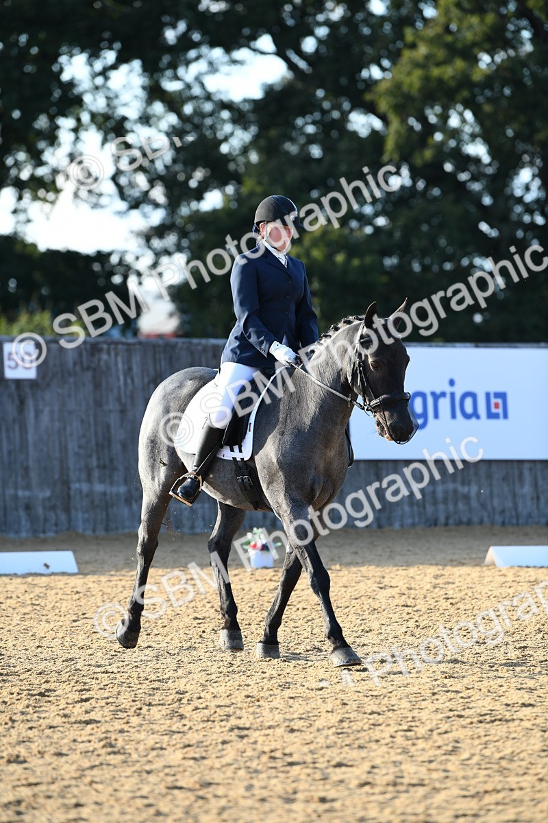 SBM_30692 - D16 - Small Tour Championship - Novice 28