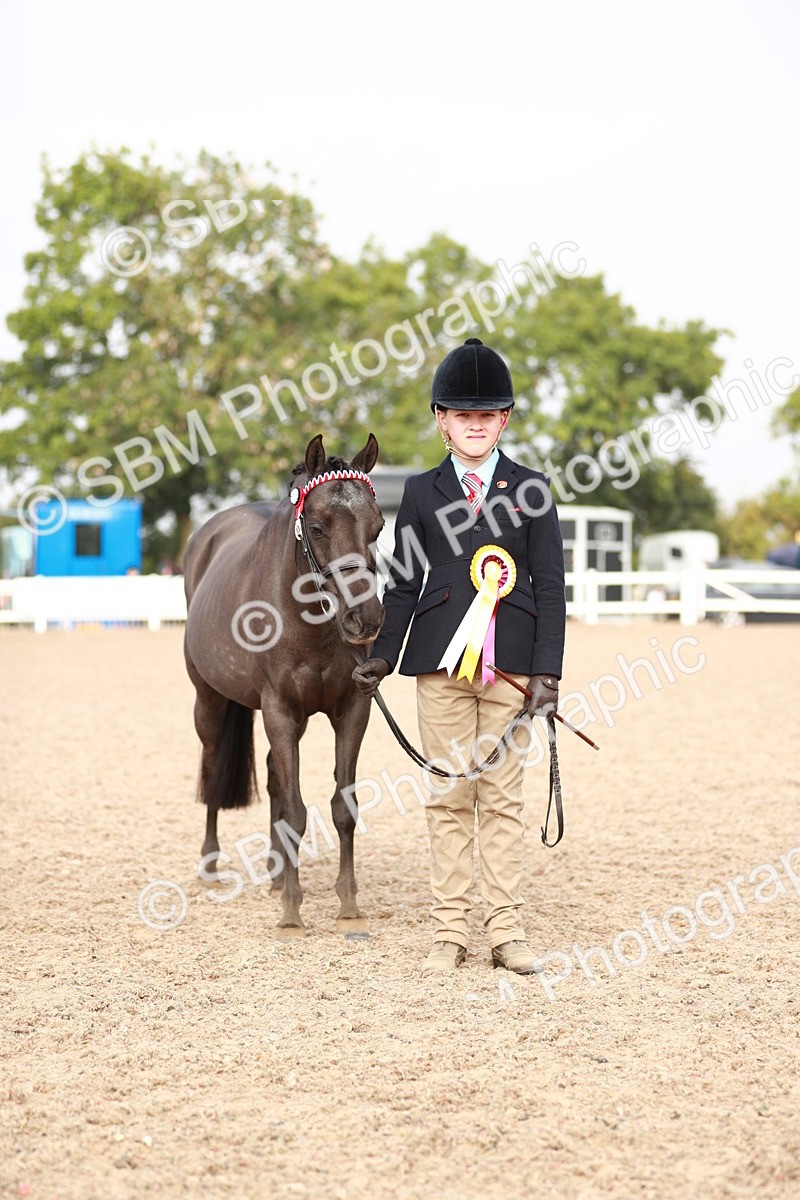 SBM_10624 - Class 204 Young Handler, 11-16 years