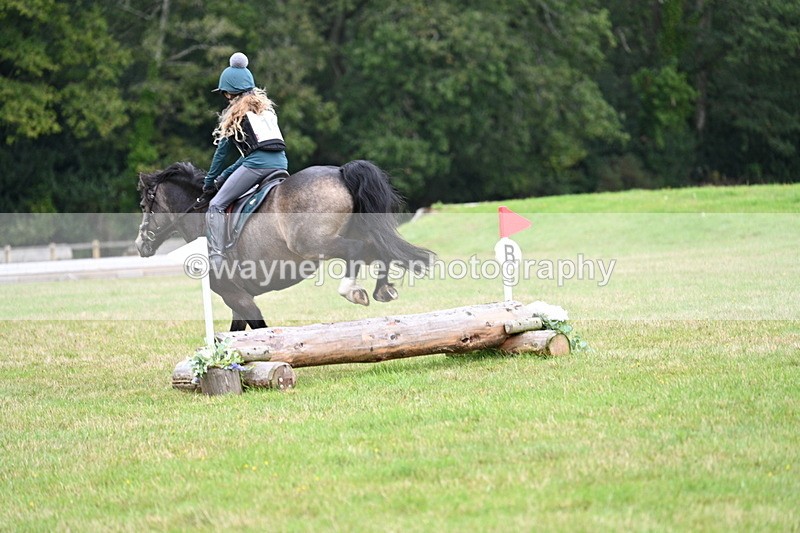 WJ7_7539 - 40cm Time 10:27 to 10:47