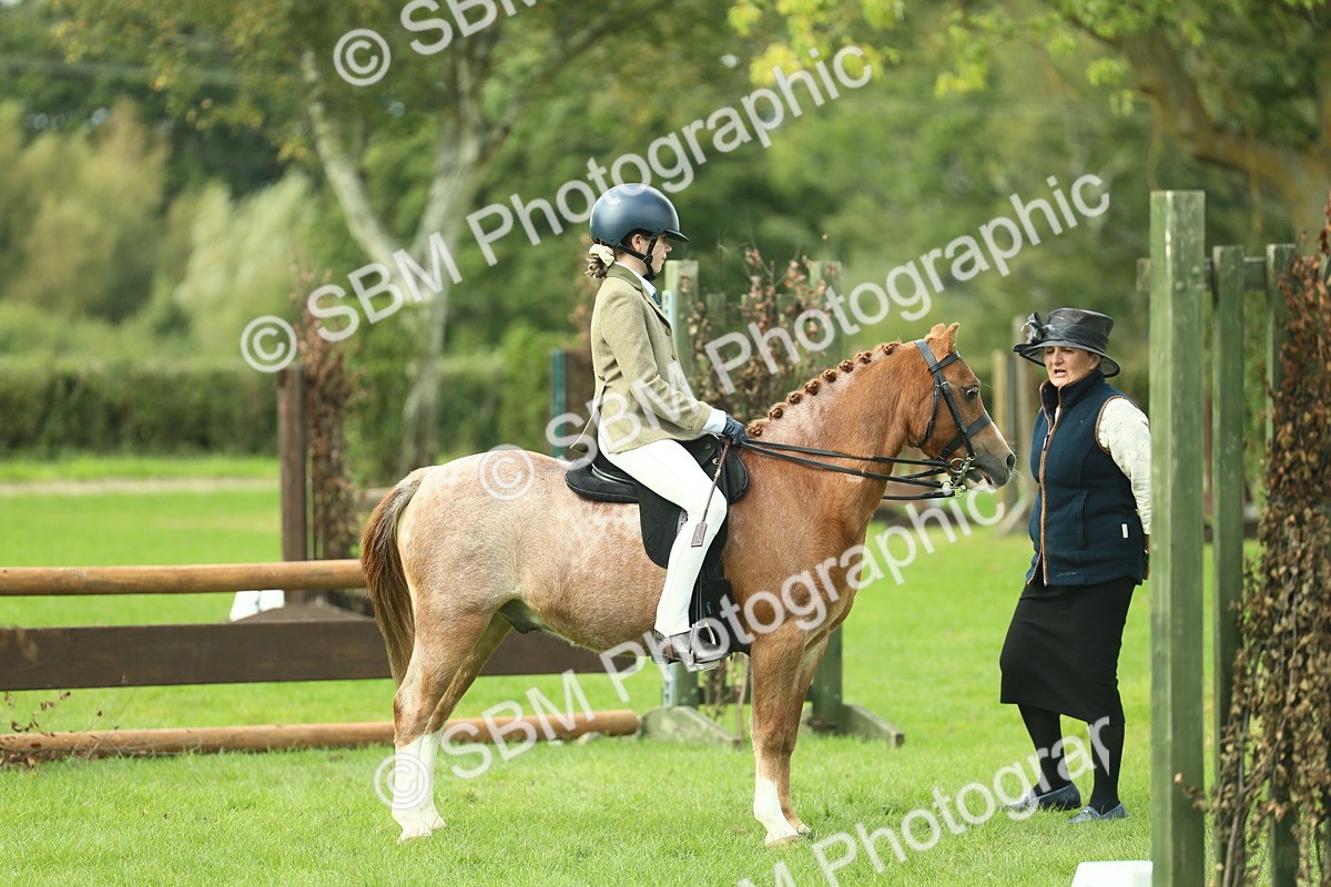 SBM_44658 - S31 - Working Hunter Pony