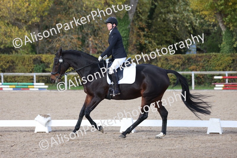 20251101-0669 - Class 5 - Novice 3