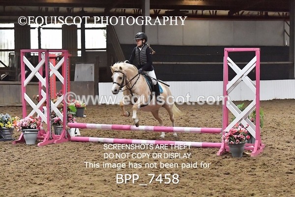 BPP_7458 - 40CM WORKING HUNTER