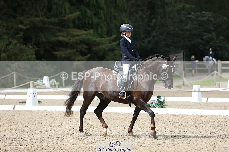 230812-103548-03265 - Cls 5 Novice Bronze Start to 10.55 break