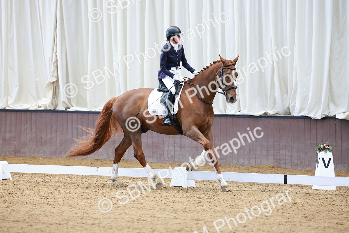 SBM_001445 - Class 5 - Novice 5
