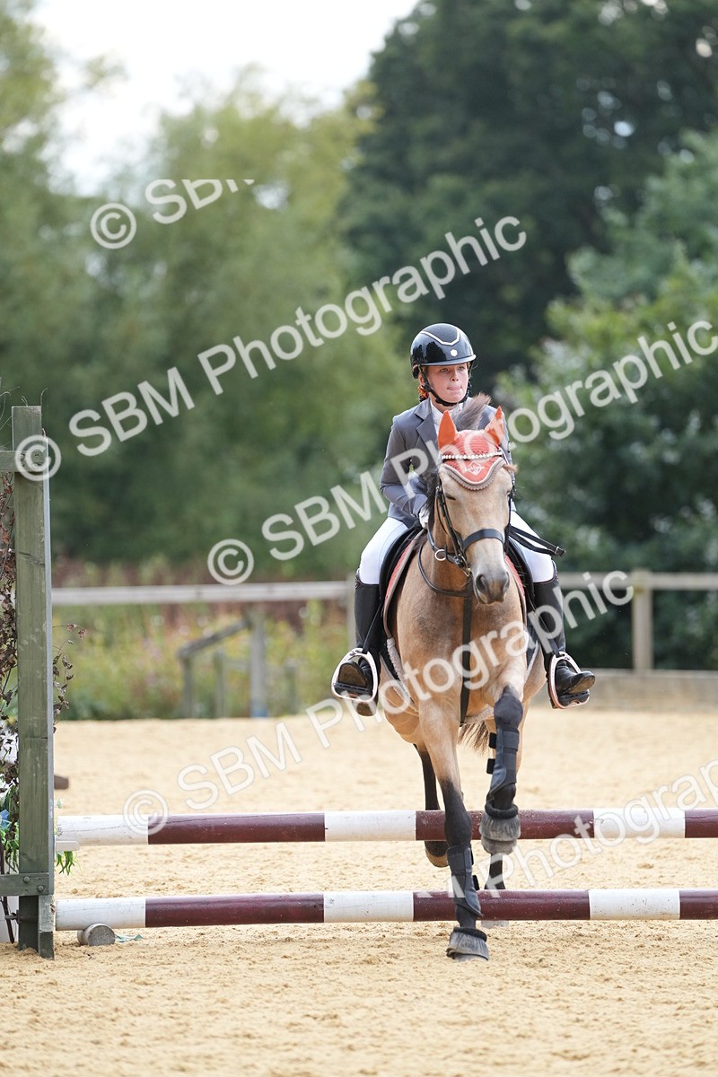 SBM_74749 - J4 - Mini Tour Junior Pony 45cm Championship