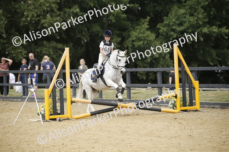 20250622-4711 - 50cm