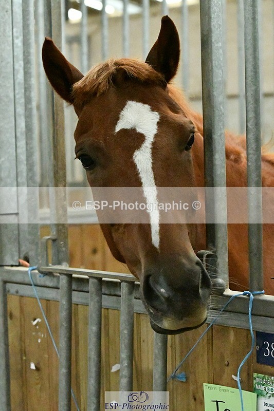 230804A-095439-01537 - Stable Shots