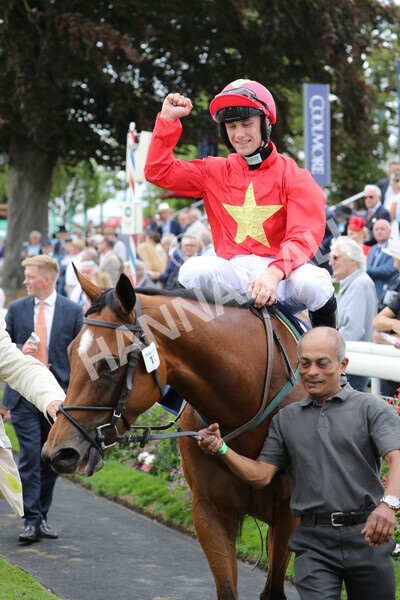 yr19082022r4-100 - Race 4 3.35pm Coolmore Wootton Bassett Nunthorpe Stakes (British Champion Series Race)