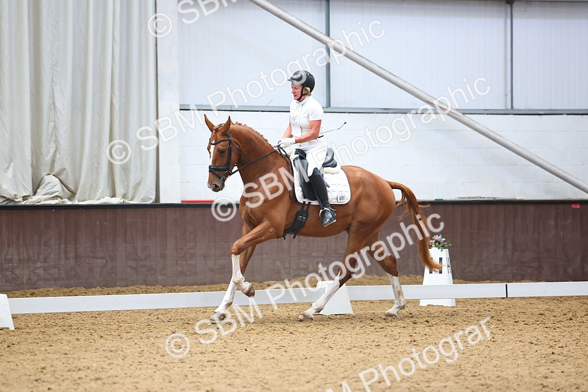 SBM_021446 - Class 11 - P5