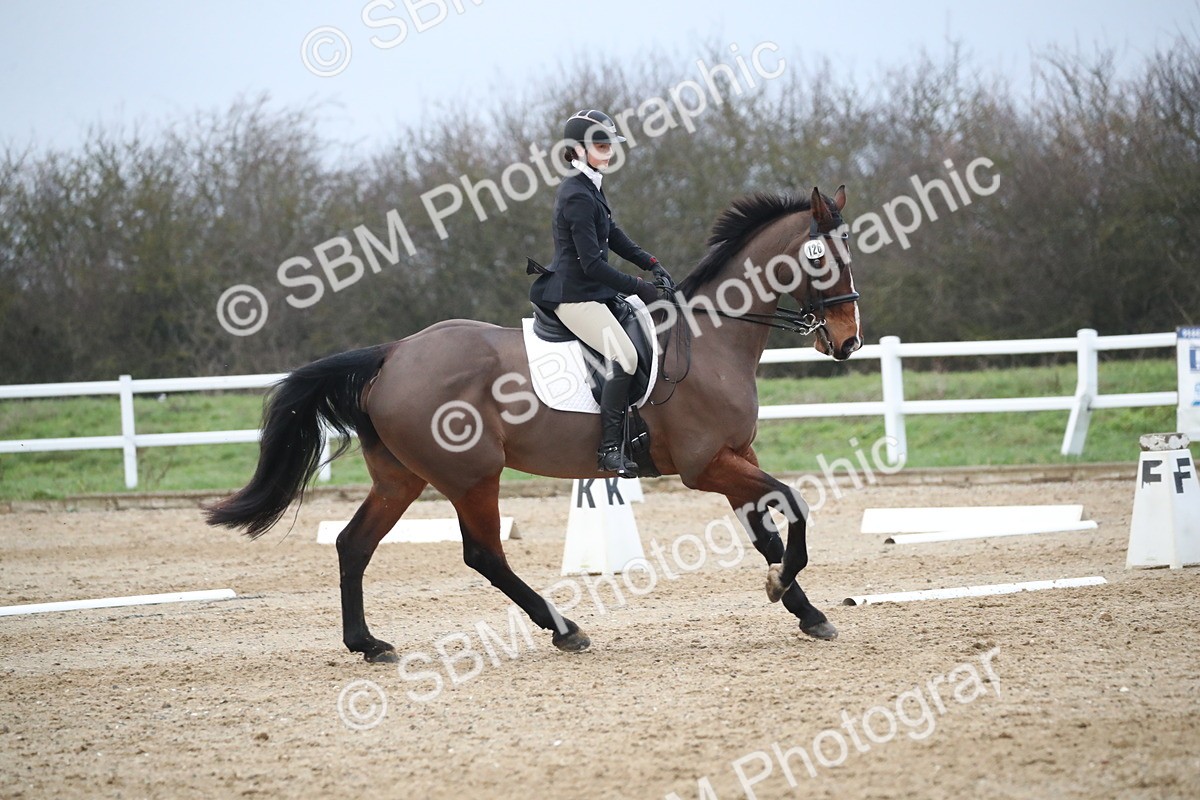 SBM_005797 - Elementary 1