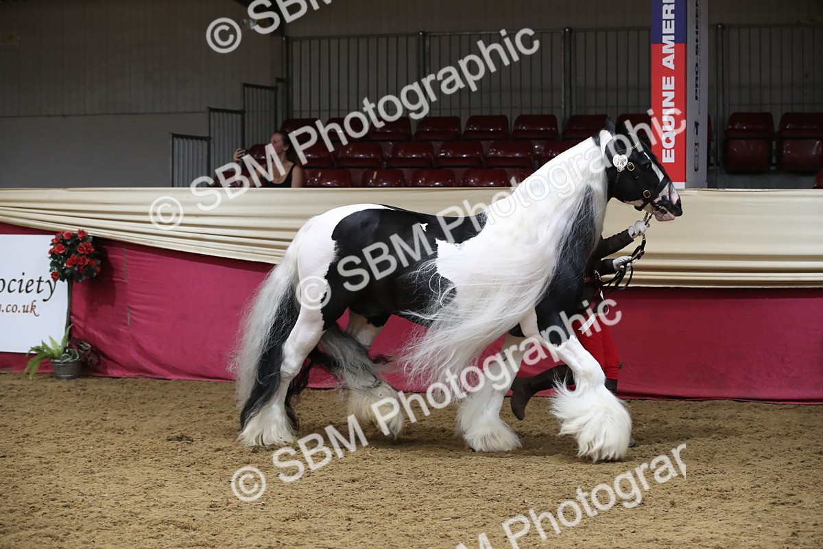 SBM_05838 - Class 9R - Regional IH Pre-Vet
