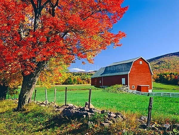 Istock #21708631 - New England Images